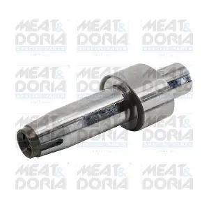 98266 MEAT & DORIA