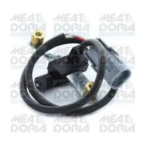 87073 MEAT & DORIA