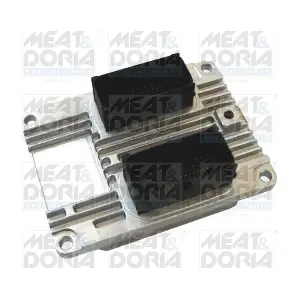 70084 MEAT & DORIA