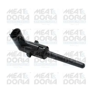 72407 MEAT & DORIA