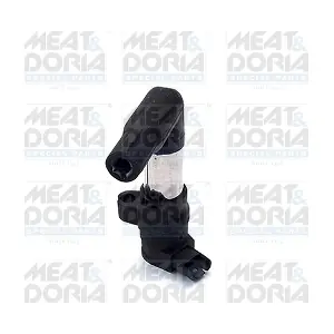 10704 MEAT & DORIA