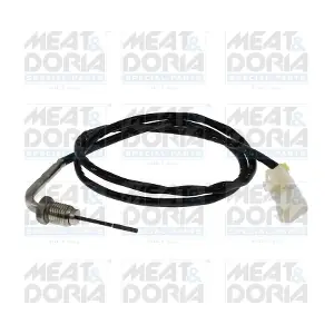 12799 MEAT & DORIA