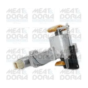 91562 MEAT & DORIA