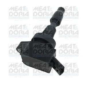 MEAT & DORIA 10825