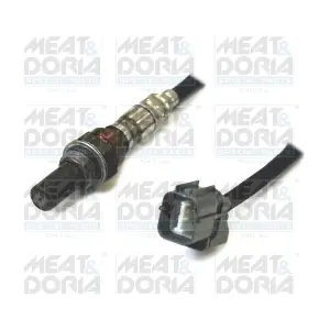 81776 MEAT & DORIA