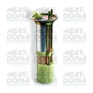 79162 MEAT & DORIA