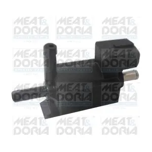 9737 MEAT & DORIA