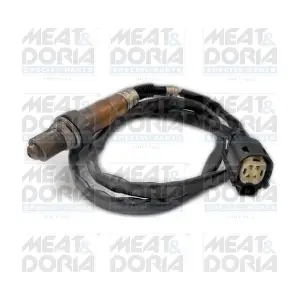 81938 MEAT & DORIA