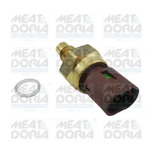82747 MEAT & DORIA