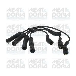 101109 MEAT & DORIA