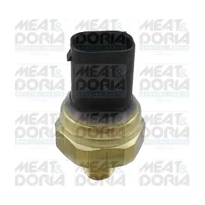 9825 MEAT & DORIA