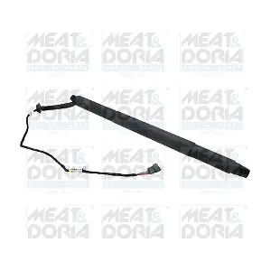 301005 MEAT & DORIA