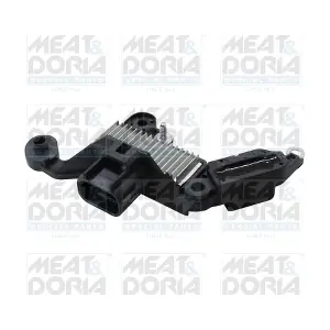 52199 MEAT & DORIA