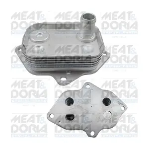 95253 MEAT & DORIA