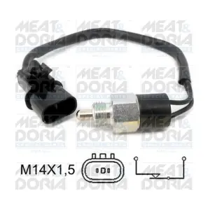 36034 MEAT & DORIA