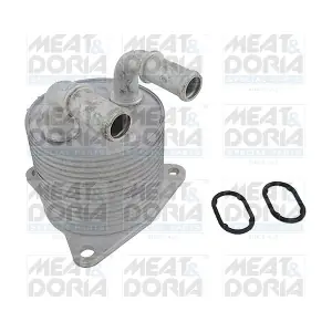 95289 MEAT & DORIA
