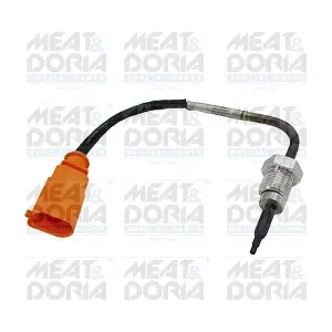 12218E MEAT & DORIA