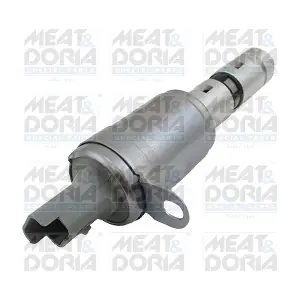 91575 MEAT & DORIA