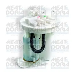 76826 MEAT & DORIA