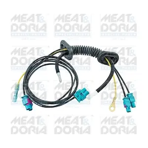 25308 MEAT & DORIA