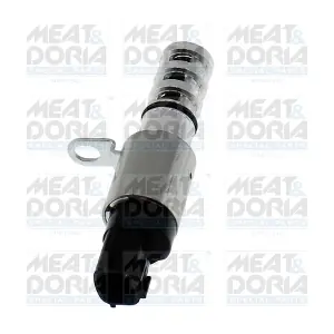 915023 MEAT & DORIA