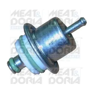 75016 MEAT & DORIA