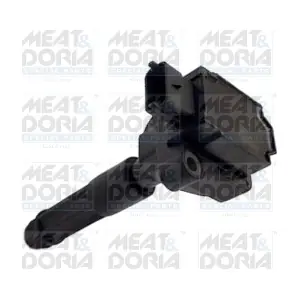 103 41 MEAT & DORIA