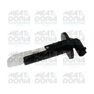 72464 MEAT & DORIA