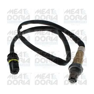 811126 MEAT & DORIA