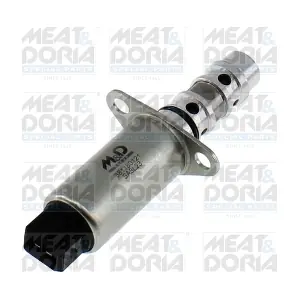 915011 MEAT & DORIA