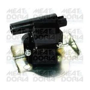 10748 MEAT & DORIA
