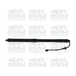 301110 MEAT & DORIA
