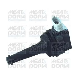10555 MEAT & DORIA
