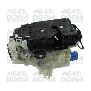 31177 MEAT & DORIA