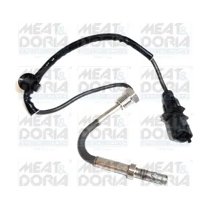 11955 MEAT & DORIA
