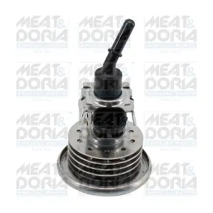 73061 MEAT & DORIA