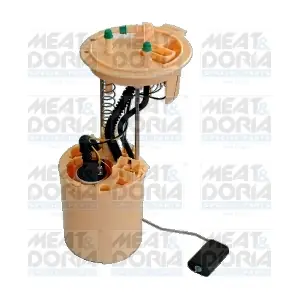 76985 MEAT & DORIA