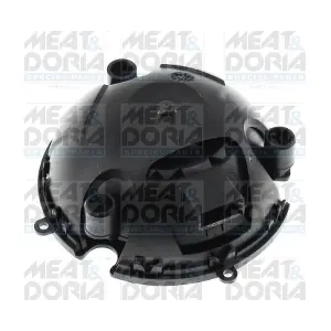38553 MEAT & DORIA