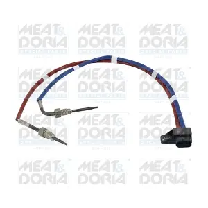 12599 MEAT & DORIA
