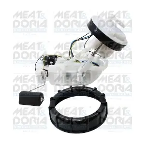 77860 MEAT & DORIA