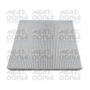 17594 MEAT & DORIA