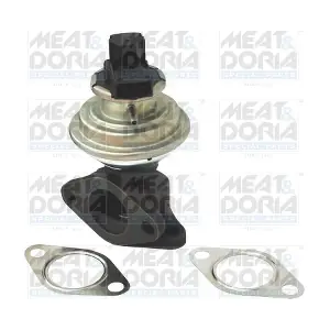 88036 MEAT & DORIA