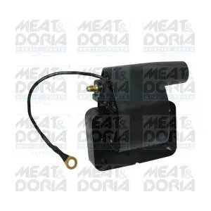 10572 MEAT & DORIA