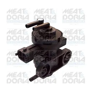 9239 MEAT & DORIA