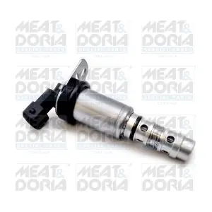 91566 MEAT & DORIA