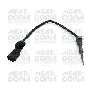 12359 MEAT & DORIA