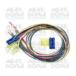 25139 MEAT & DORIA