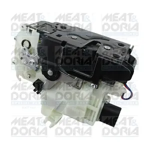 31378 MEAT & DORIA