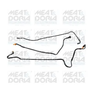 98292 MEAT & DORIA