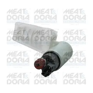 77691 MEAT & DORIA